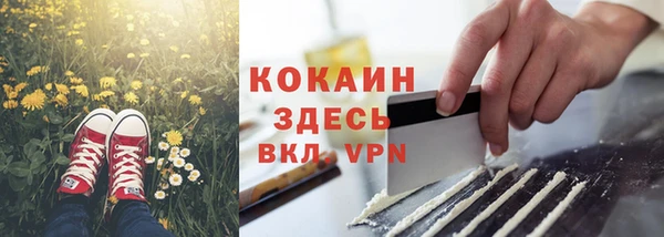 шишки Белокуриха