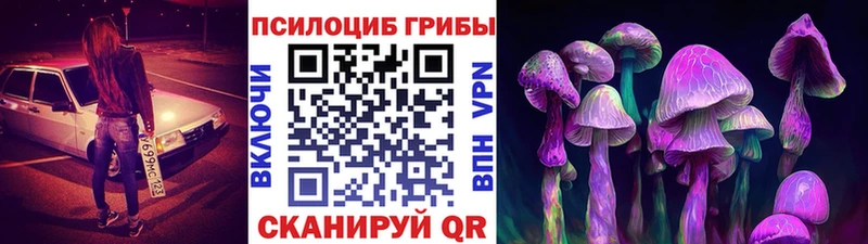 Галлюциногенные грибы MAGIC MUSHROOMS  где продают   Дальнегорск 
