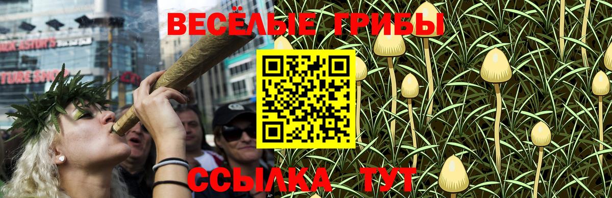 Галлюциногенные грибы мицелий  Вход с VPN  Дальнегорск 