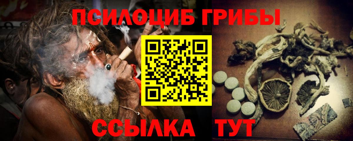 Галлюциногенные грибы Psilocybine cubensis Дальнегорск