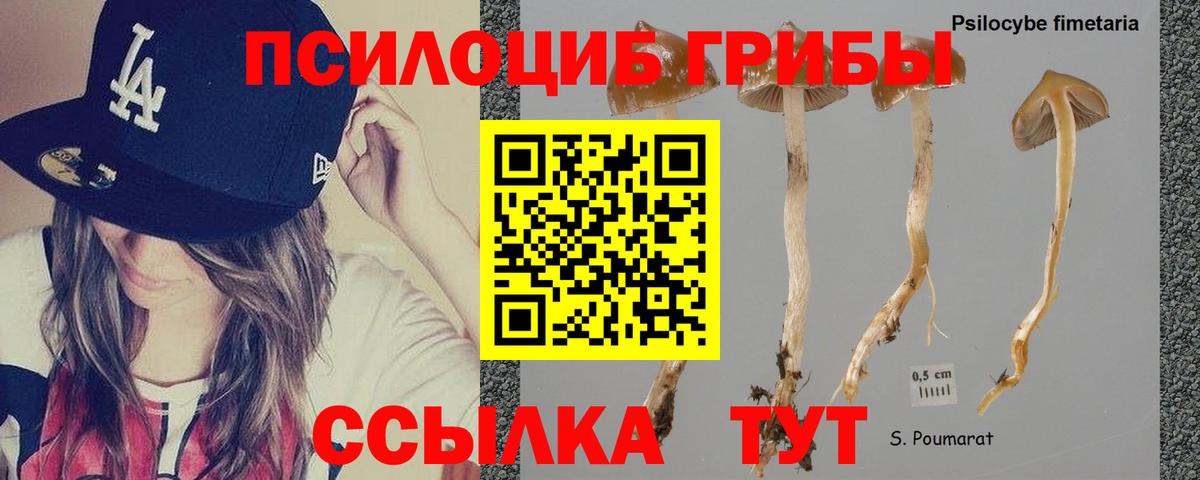 А ПВП Дальнегорск